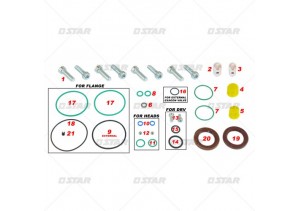 Tamir Takımı C/R SIEMENS RENAULT/OPEL Pompa A2C80584700