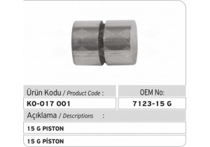 7123-15G Piston