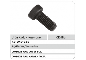 Common Rail Kapak Civatası