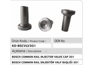 301 Bosch Valve Cap 