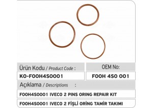 F00H4S0001 Iveco 2 Fişli Unit Injector O-ring Tamir Takımı
