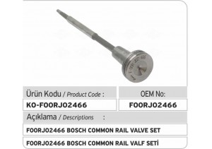 F00RJ02466 Common Rail Valve Set