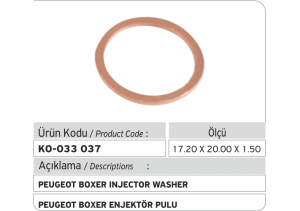 Peugeot Boxer Enjektör Pulu (17.20 x 20.00 x 1.50 mm)